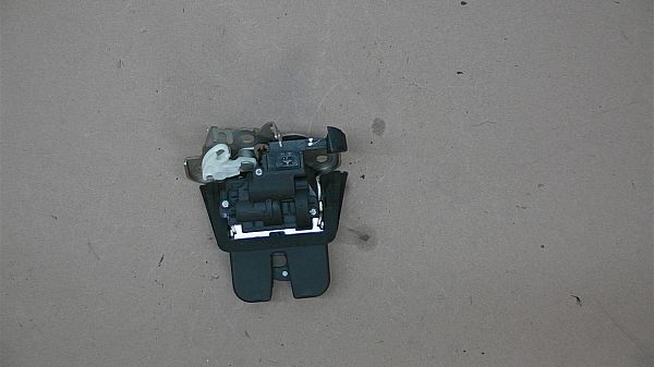 Zentralverriegelung AUDI Q5 (8RB)