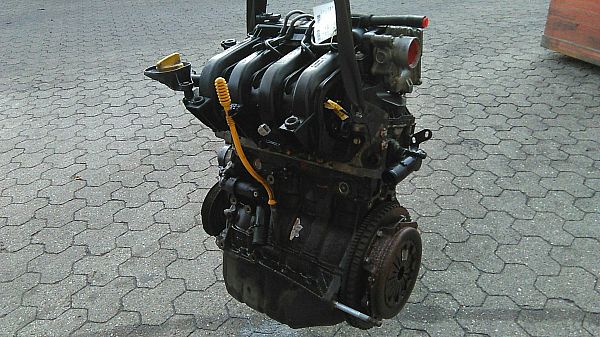 Motor RENAULT TWINGO II (CN0_)
