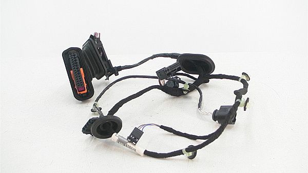 Rear door wiring loom