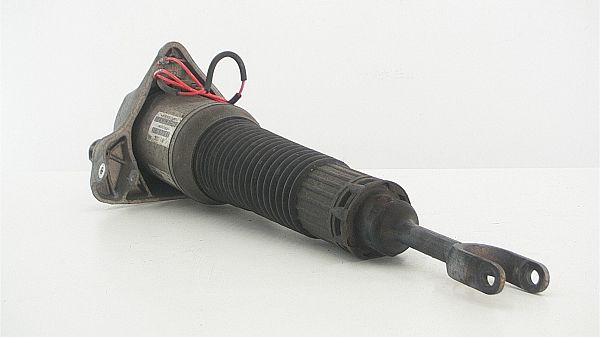 Luftfederbein / Pneumatisches Federbein AUDI A8 D3 (4E2, 4E8)