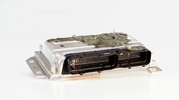 motorstyringsenhed (ECU) HYUNDAI AMICA / ATOZ (MX)