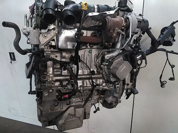 FORD - FIESTA VII (HU, HF) - Motor