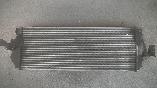 Heating element LAND ROVER DISCOVERY Mk II (L318)