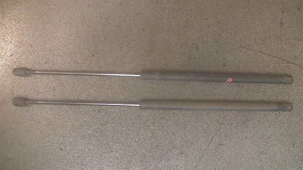 Tailgate gas strut SUZUKI IGNIS II (MH)