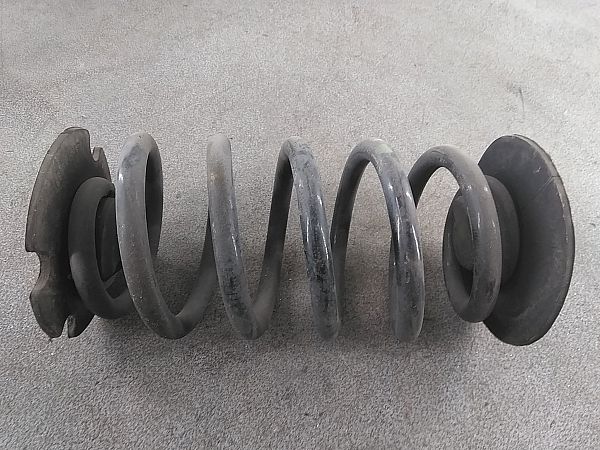 Spiralfeder hinten ROVER