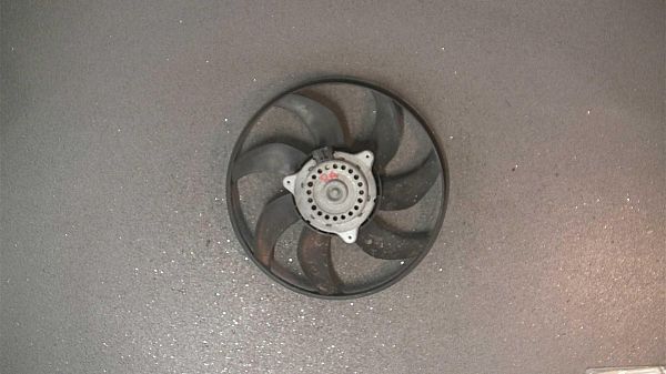 Radiator fan electrical SMART FORTWO Coupe (451)