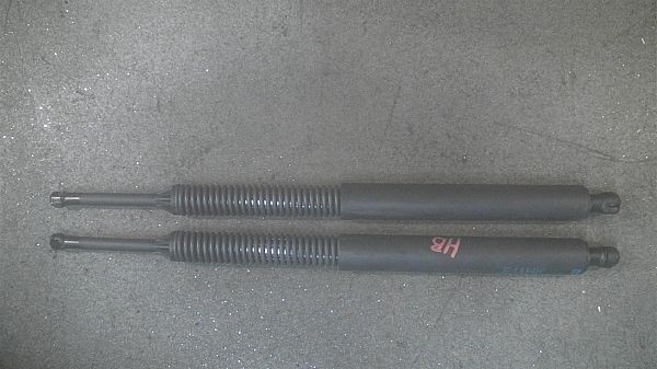 Tailgate strut