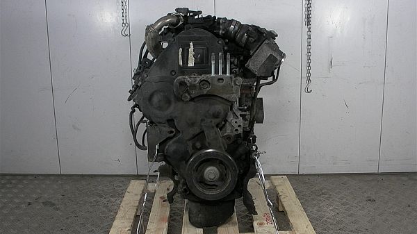 Motor FORD FIESTA VI (CB1, CCN)