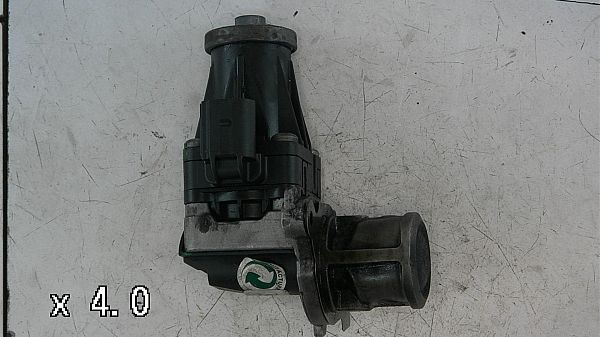 Egr valve FIAT PUNTO EVO (199_)
