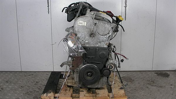 Motor RENAULT GRAND SCÉNIC II (JM0/1_)