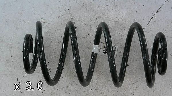 Rear spring - coil CHEVROLET