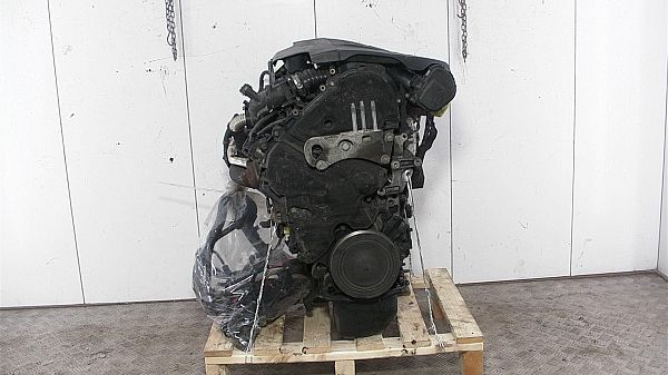 Motor FORD FIESTA VI (CB1, CCN)