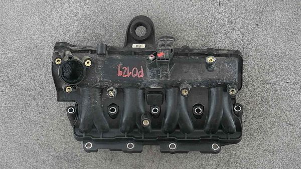 Ansaugkrümmer FIAT DOBLO Box Body/Estate (263_)