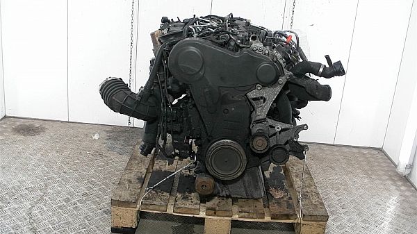 Motor AUDI A6 Avant (4F5, C6)