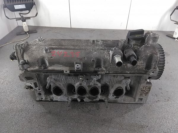 Zylinderkopf FIAT PANDA (312_, 319_)