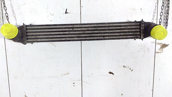 Varmeelement MINI MINI CLUBMAN (R55)
