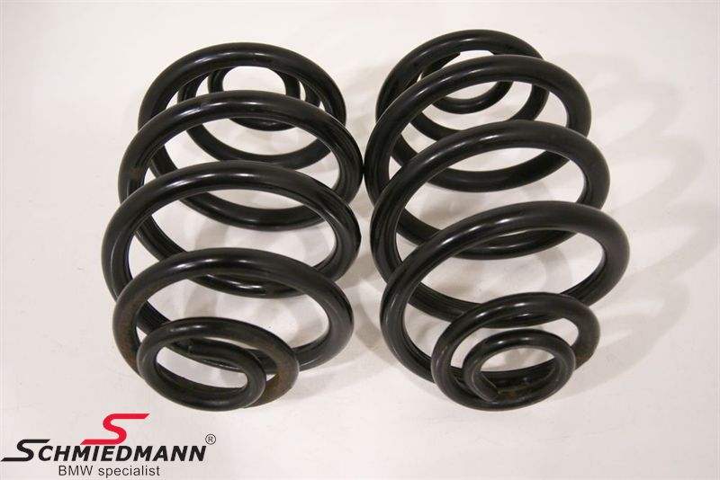 Blattfeder hinten BMW