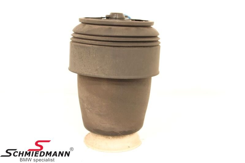 Luftfederbein / Pneumatisches Federbein BMW 5 Touring (E61)