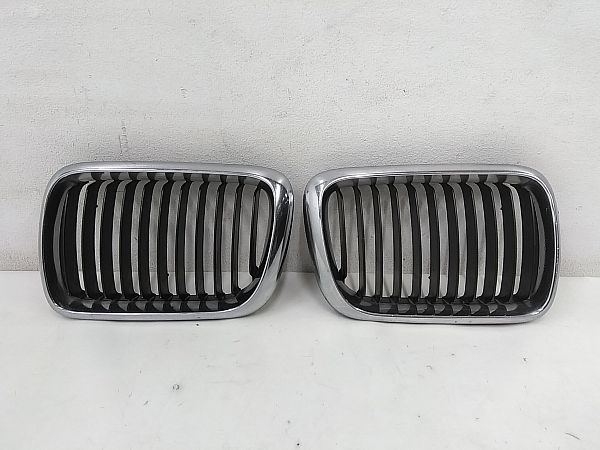 Grill BMW