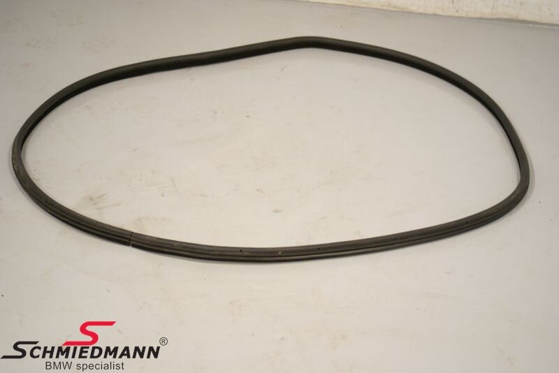 Tür Dichtungsgummi 4-türig BMW 5 Touring (E61)
