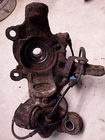 Spindel for NISSAN PRIMERA Estate (WP12)