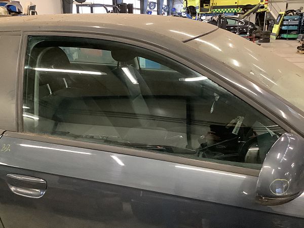 Dørrude AUDI A3 (8P1)