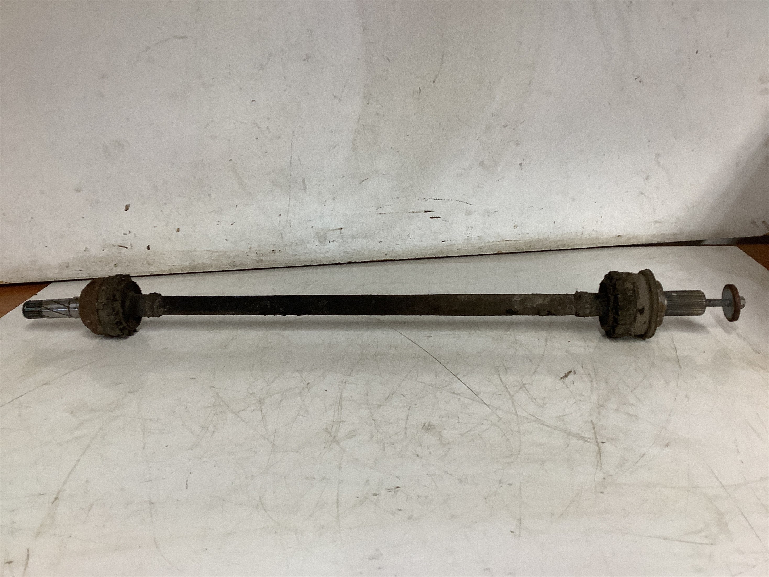 掛軸 323 数量限定】Z/X -Zillions of enemy X- 掛軸「ゆたか&フレデリカ