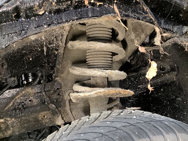 Federbein vorn NISSAN QASHQAI / QASHQAI +2 I (J10, NJ10, JJ10E)