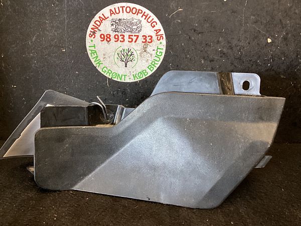 Schmutzfaenger CUPRA BORN (K11)