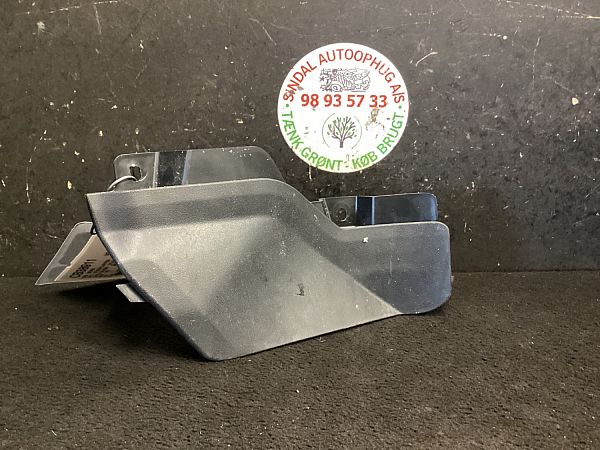 Schmutzfaenger CUPRA BORN (K11)