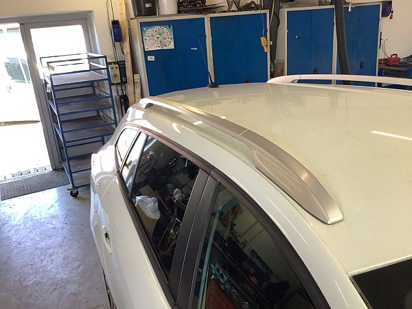 Roof shackle RENAULT MEGANE III Grandtour (KZ0/1)