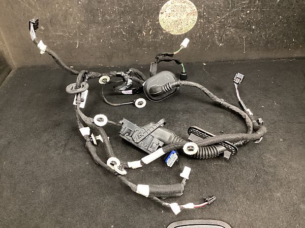 Kabelbaum für Tür RENAULT MEGANE E-TECH SUV