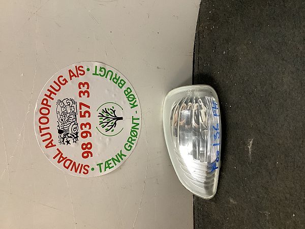 Mirror indicator light