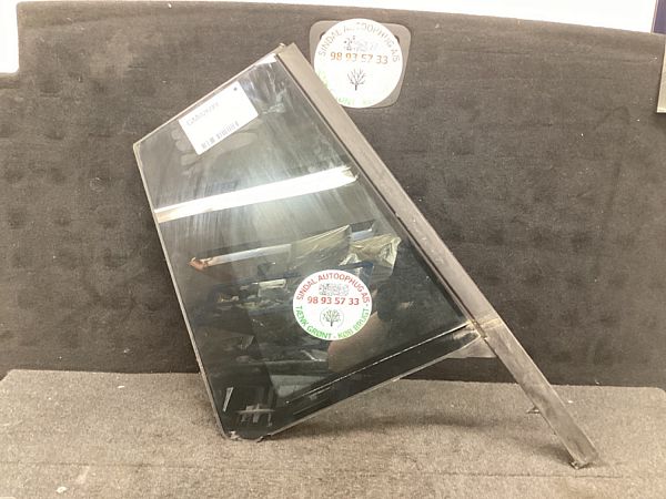 Rear door window