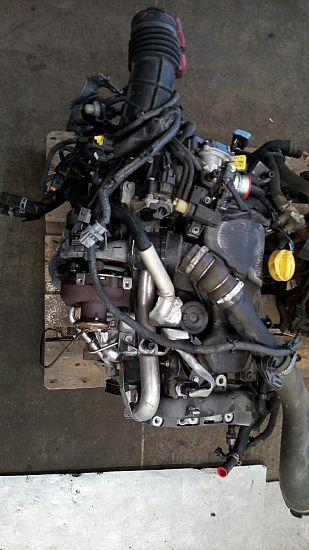 Motor