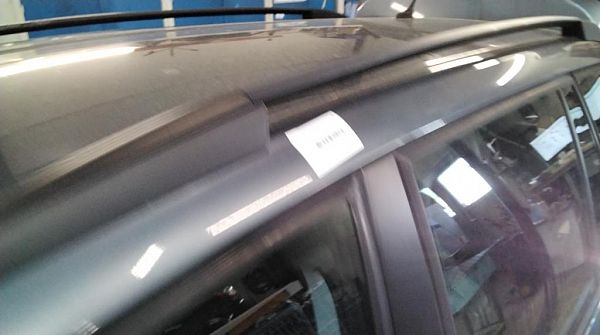 stewardesse ekskrementer lettelse Brugt Citroën C4 - tagbøjle | Autoparts24