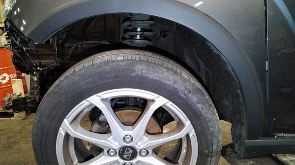 Radlauf Chrom SUZUKI IGNIS III (MF, FF)
