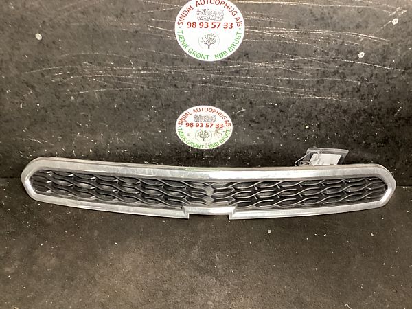 Grill / gitter CHEVROLET SPARK (M300)