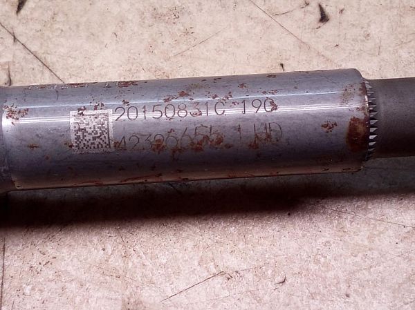 Ratled OPEL KARL (C16)