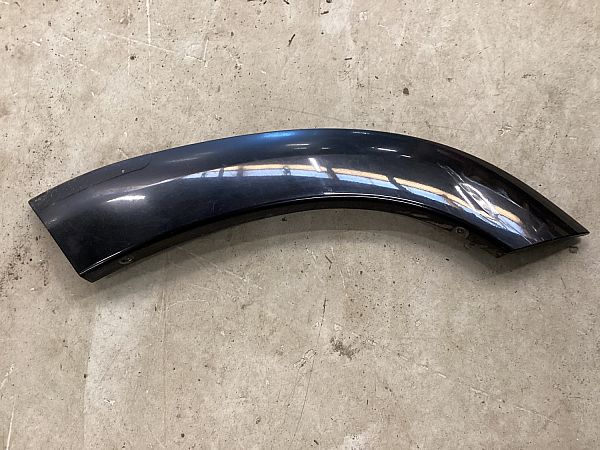 Wing arch moulding TOYOTA RAV 4 III (_A3_)