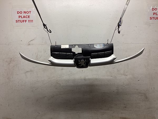 Kühlergrill PEUGEOT 206 Hatchback (2A/C)