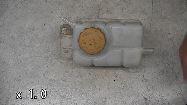 Ausgleichsbehälter CHEVROLET AVEO / KALOS Hatchback (T250, T255)