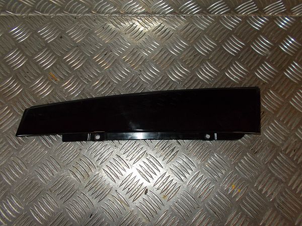 Door glass trim molding