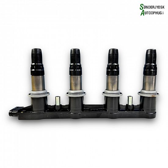 Ignition plug leads