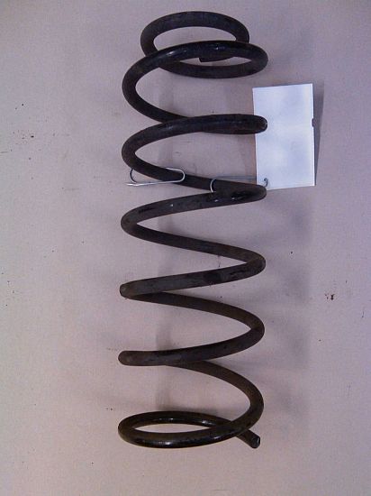 Rear spring - coil DAEWOO KALOS (KLAS)
