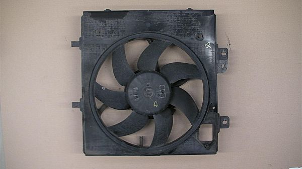 Ventilateur de radiateur électrique CITROËN C3 II (SC_)