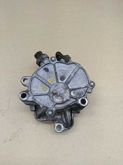Vacuum pump LAND ROVER DISCOVERY III (L319)