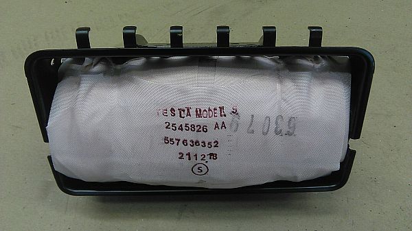 Airbag kpl. TESLA MODEL S (5YJS)