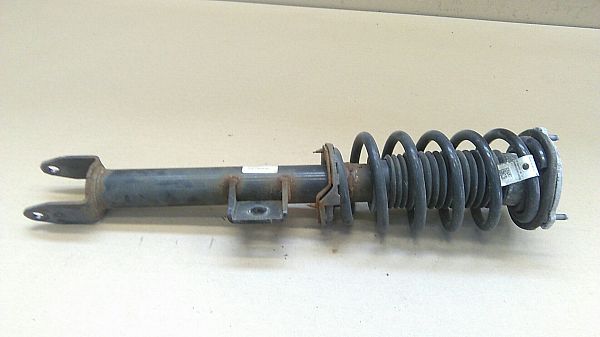 Federbein vorn TESLA MODEL 3 (5YJ3)