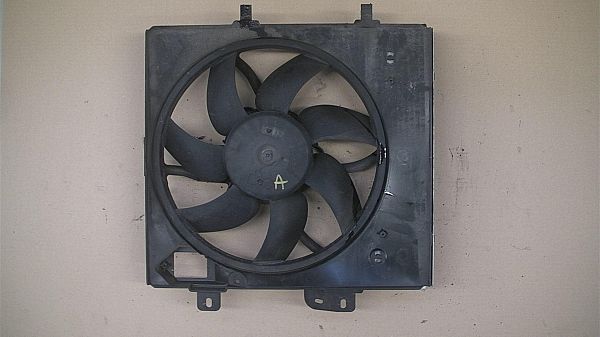 Ventilateur de radiateur électrique PEUGEOT 207 SW (WK_)